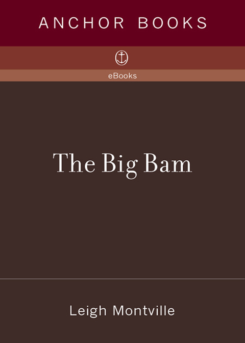 Cover image for book The Big Bam
