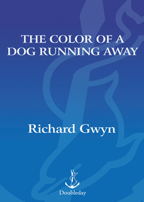 Cover image for book The Color of a Dog Running Away