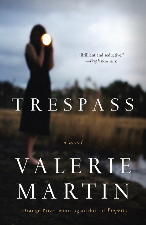 Cover image for book Trespass