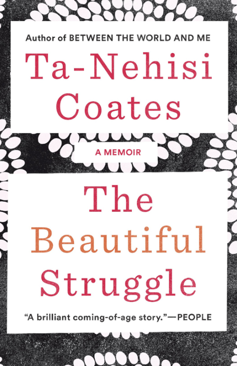 Cover image for book The Beautiful Struggle
