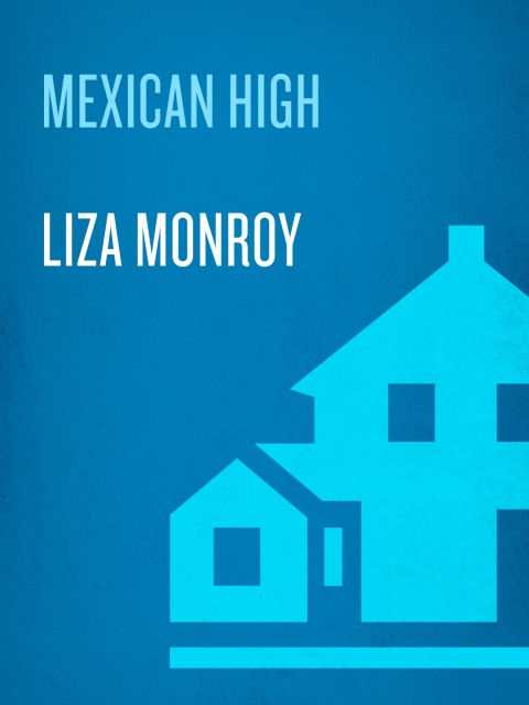Cover image for book Mexican High
