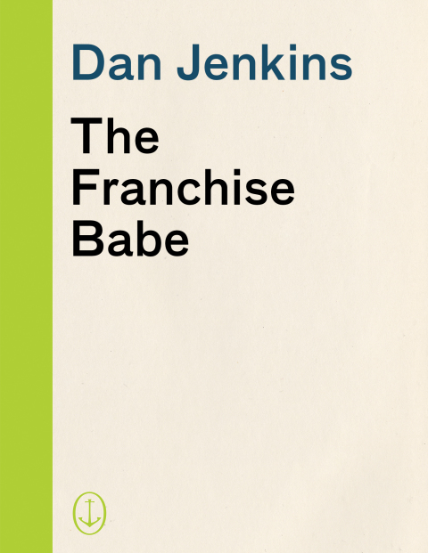 Cover image for book The Franchise Babe