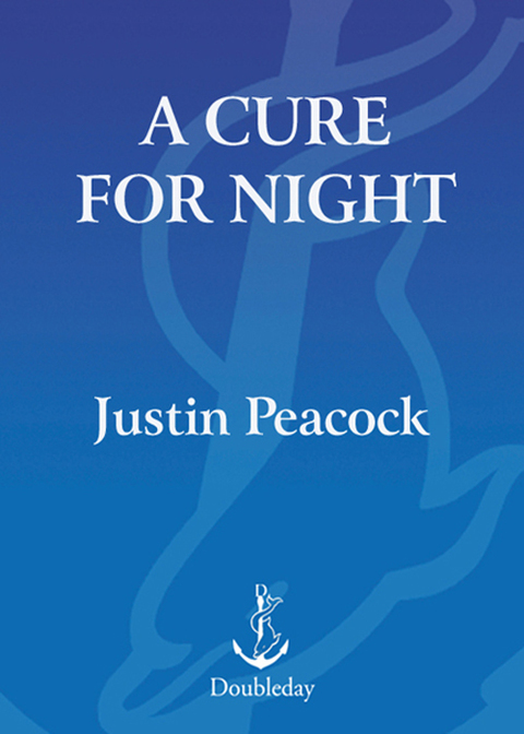 Cover image for book A Cure for Night
