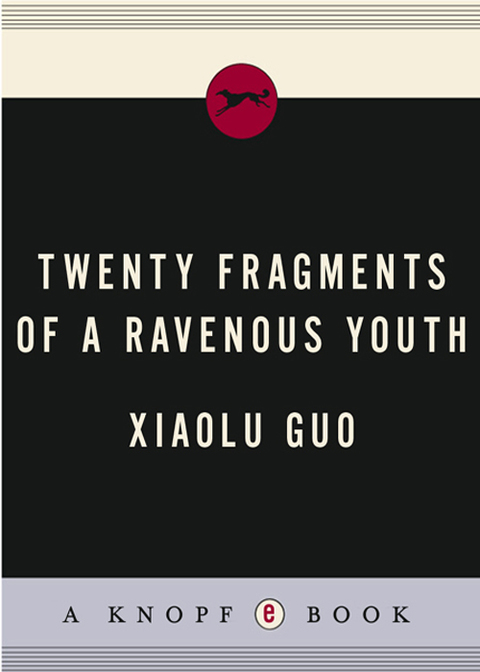 Cover image for book Twenty Fragments of a Ravenous Youth