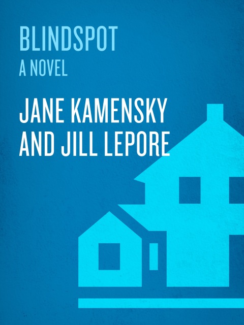 Cover image for book Blindspot