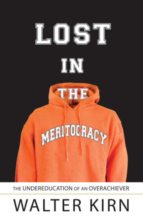 Cover image for book Lost in the Meritocracy