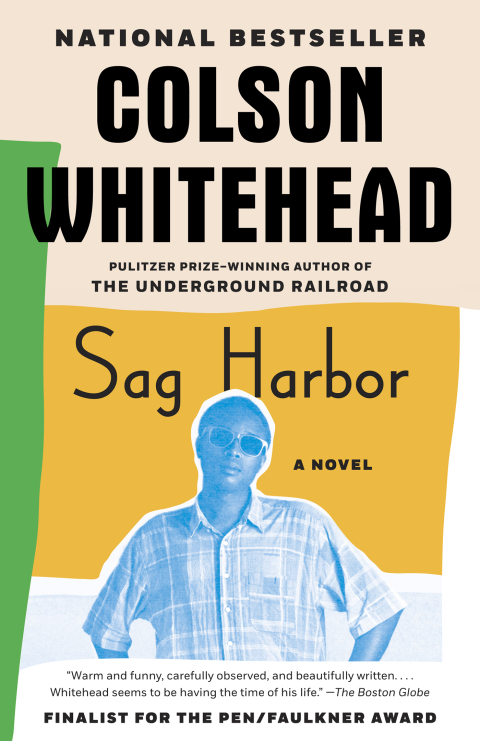 Cover image for book Sag Harbor