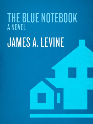 The Blue Notebook