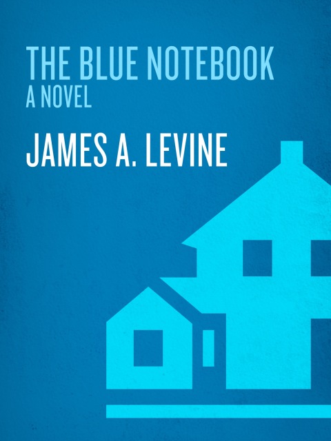 Cover image for book The Blue Notebook