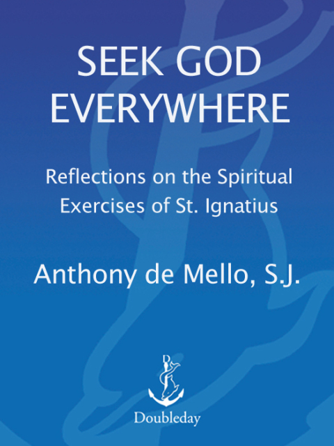 Cover image for book Seek God Everywhere