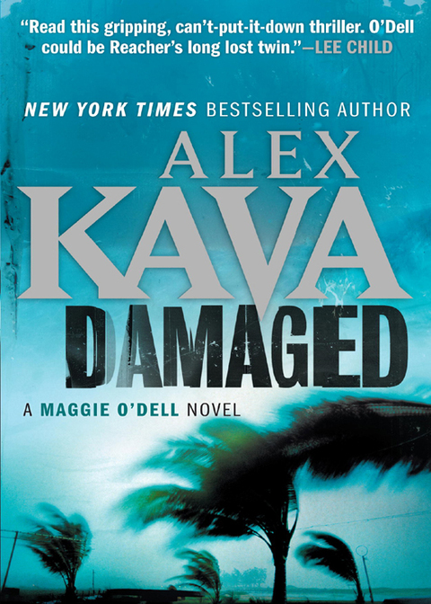 Cover image for book Damaged