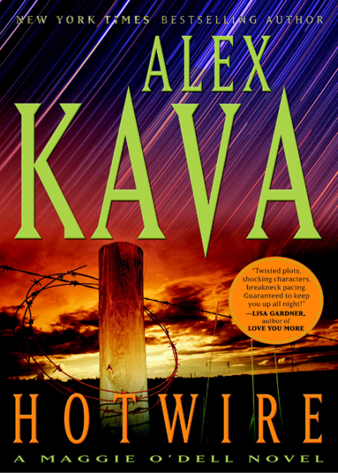 Cover image for book Hotwire