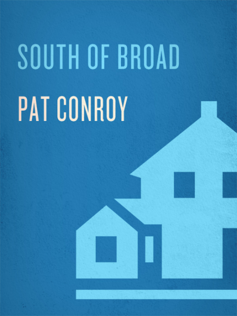 Cover image for book South of Broad