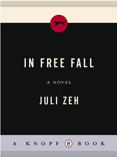 Cover image for book In Free Fall