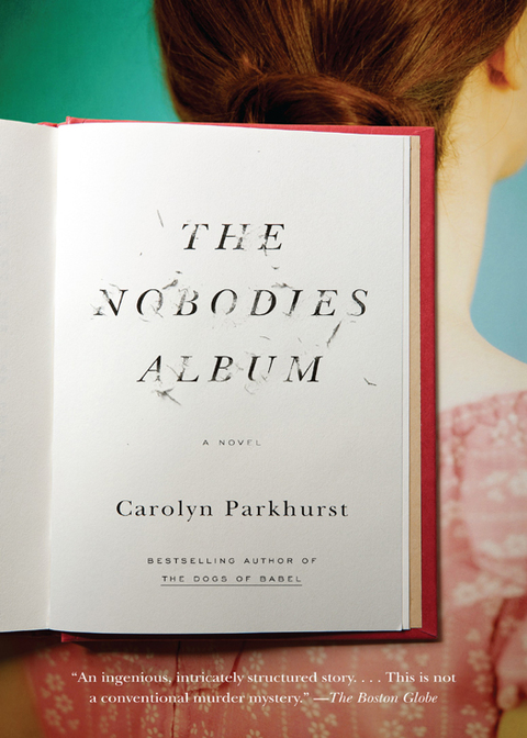 Cover image for book The Nobodies Album