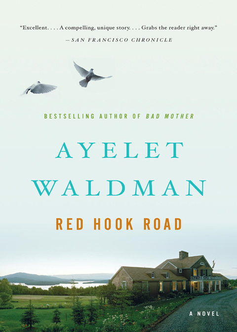 Cover image for book Red Hook Road