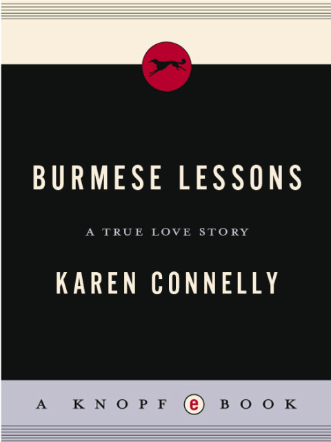 Cover image for book Burmese Lessons