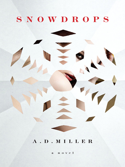 Cover image for book Snowdrops
