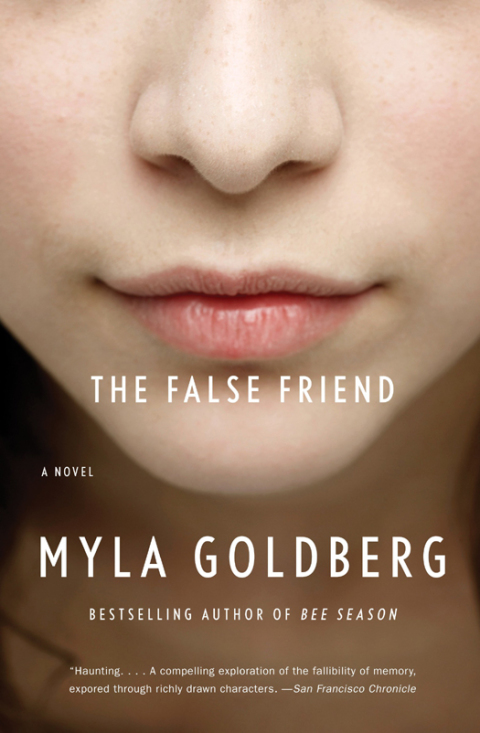 Cover image for book The False Friend