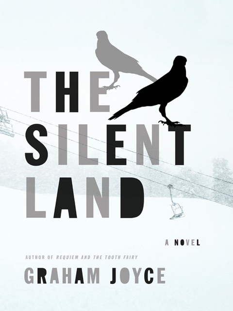 Cover image for book The Silent Land