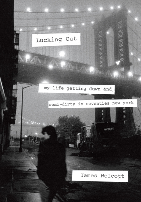 Cover image for book Lucking Out