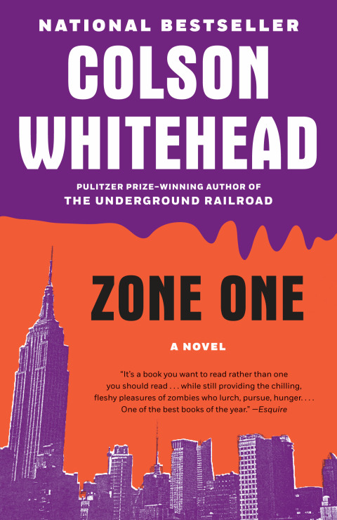 Cover image for book Zone One