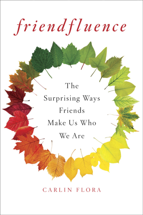 Cover image for book Friendfluence