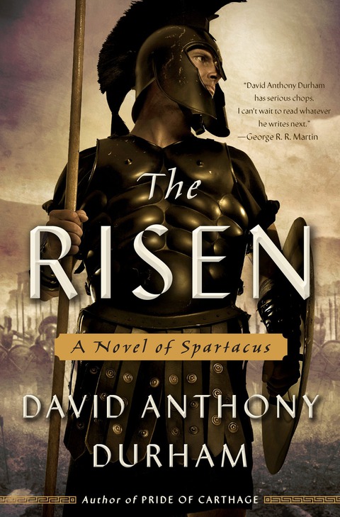 Cover image for book The Risen