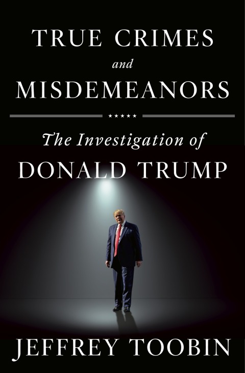 Cover image for book True Crimes and Misdemeanors
