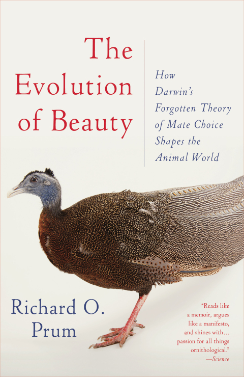 Cover image for book The Evolution of Beauty