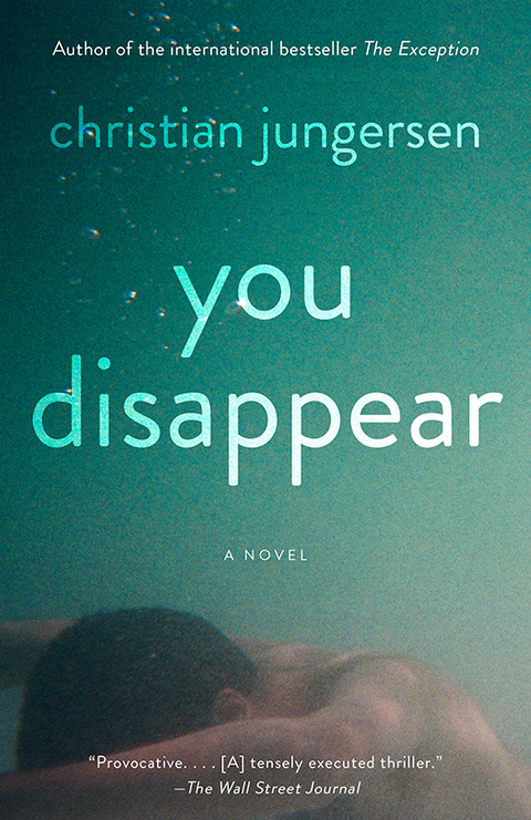 Cover image for book You Disappear