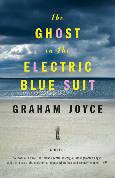 Cover image for book The Ghost in the Electric Blue Suit