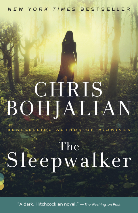 Cover image for book The Sleepwalker