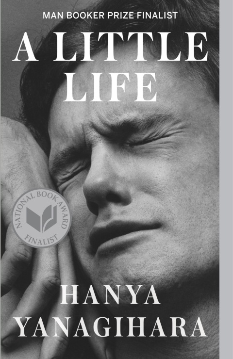 Cover image for book A Little Life