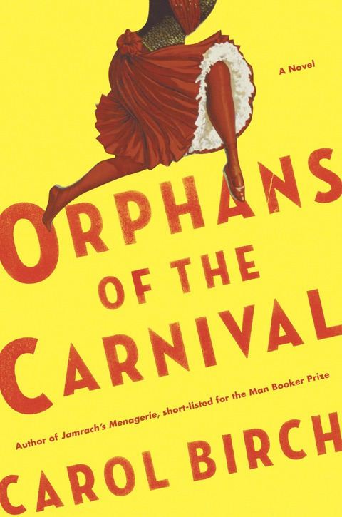 Cover image for book Orphans of the Carnival