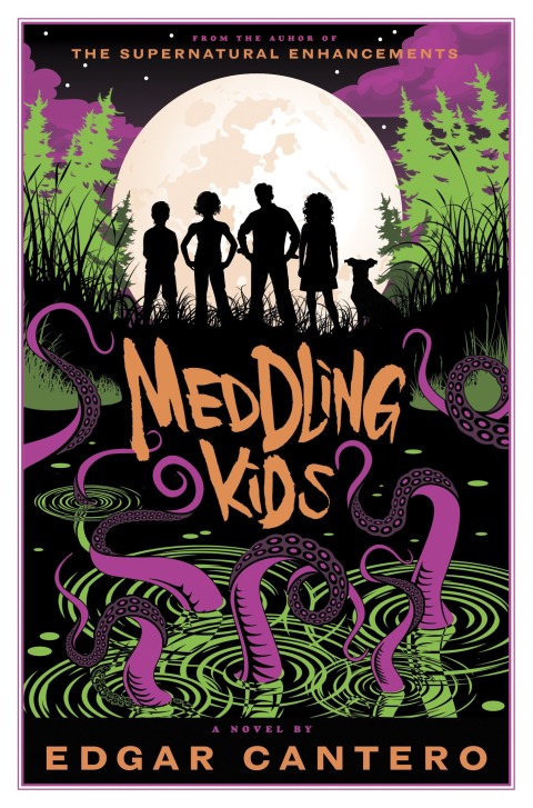 Cover image for book Meddling Kids