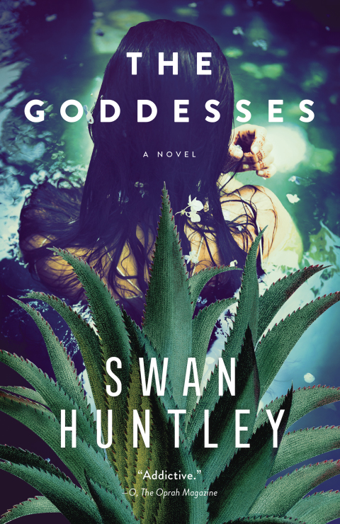 Cover image for book The Goddesses