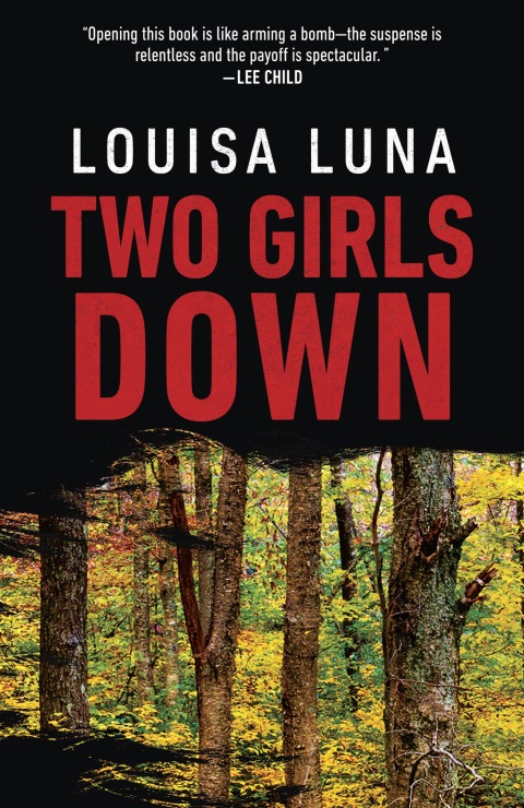 Cover image for book Two Girls Down