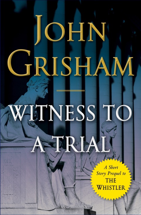 Cover image for book Witness to a Trial