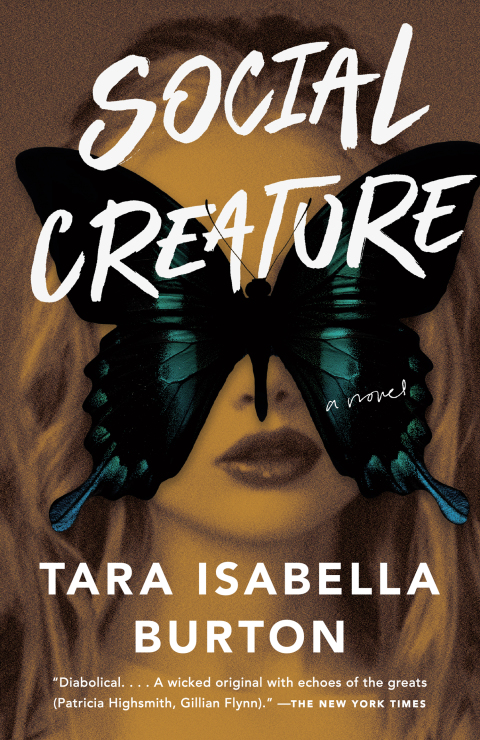 Cover image for book Social Creature