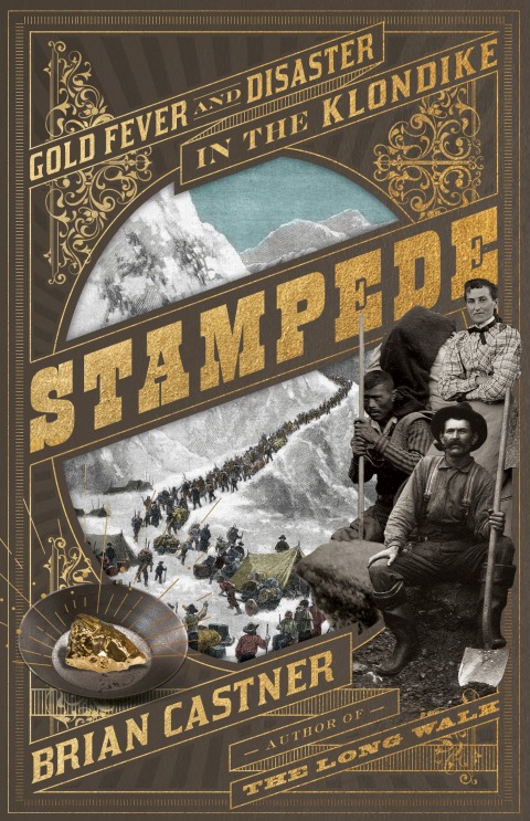 Cover image for book Stampede