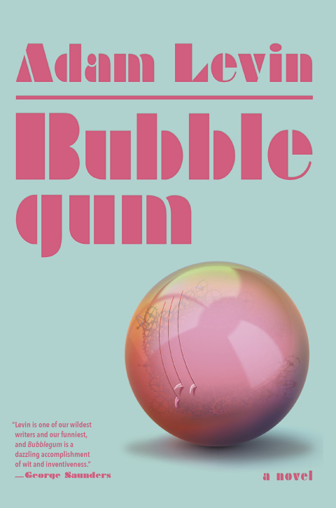 Cover image for book Bubblegum