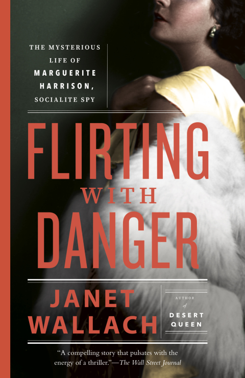 Cover image for book Flirting with Danger