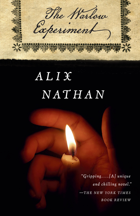 Cover image for book The Warlow Experiment