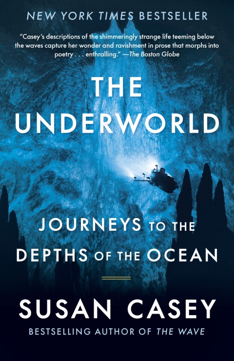 Cover image for book The Underworld
