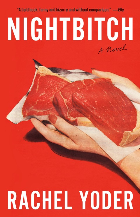 Cover image for book Nightbitch