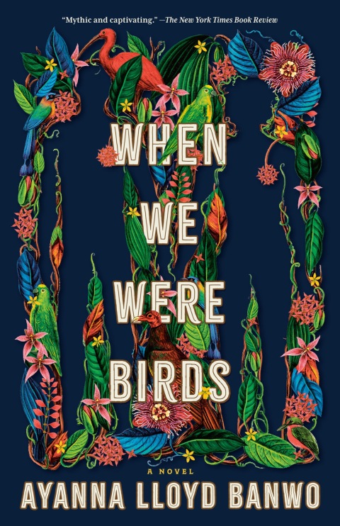 Cover image for book When We Were Birds