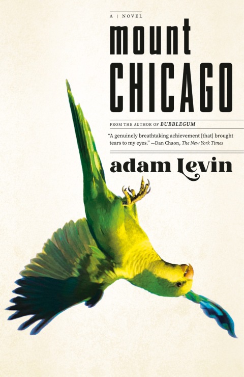 Cover image for book Mount Chicago
