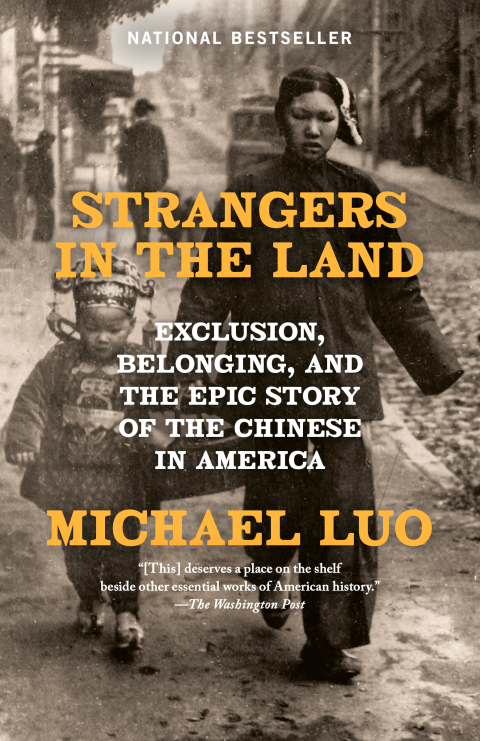 Cover image for book Strangers in the Land
