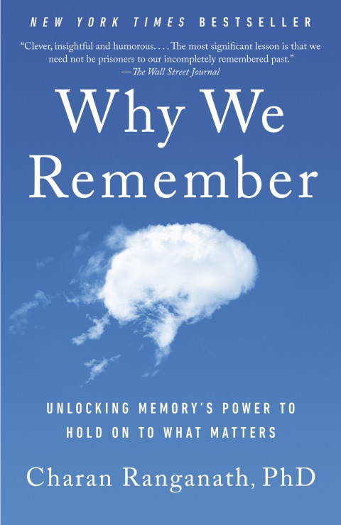 Cover image for book Why We Remember